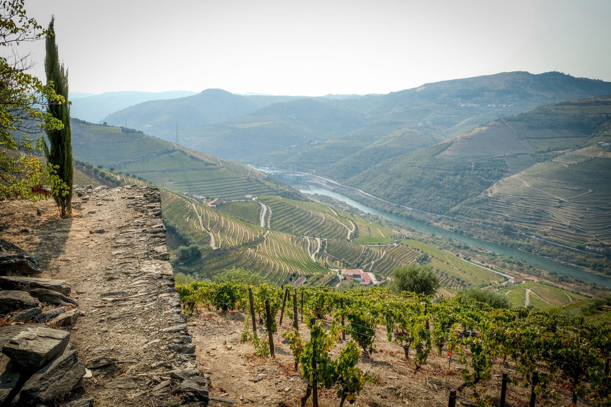 Terraced vineyards above the Douro river